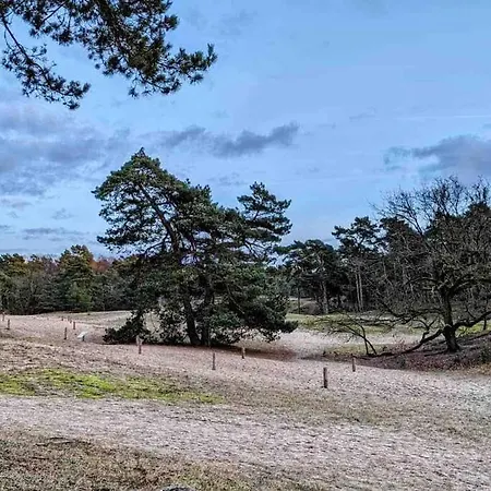 Idyllisches Zuhause Nahe Verden Appartement *