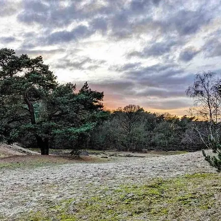 Idyllisches Zuhause Nahe Verden Dörverden