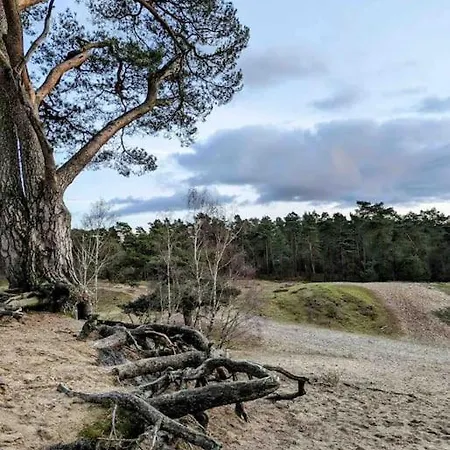 Idyllisches Zuhause Nahe Verden Apartament *